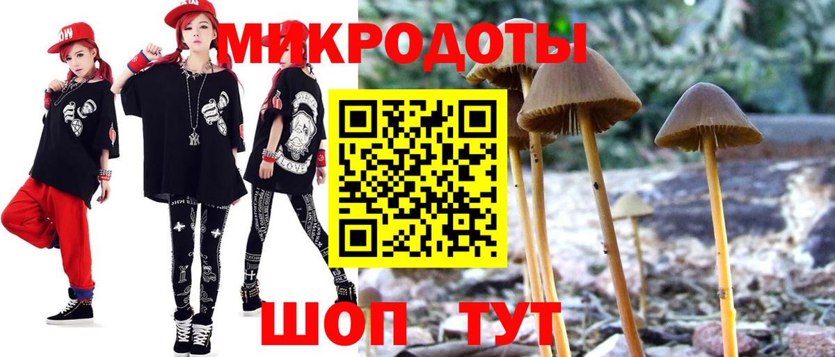 Артём  Псилоцибиновые грибы ЛСД  Вход с VPN 