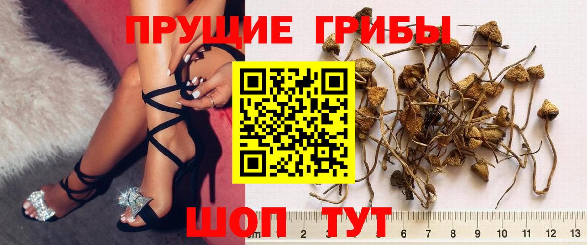Псилоцибиновые грибы прущие грибы Артём